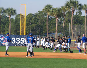 players on field